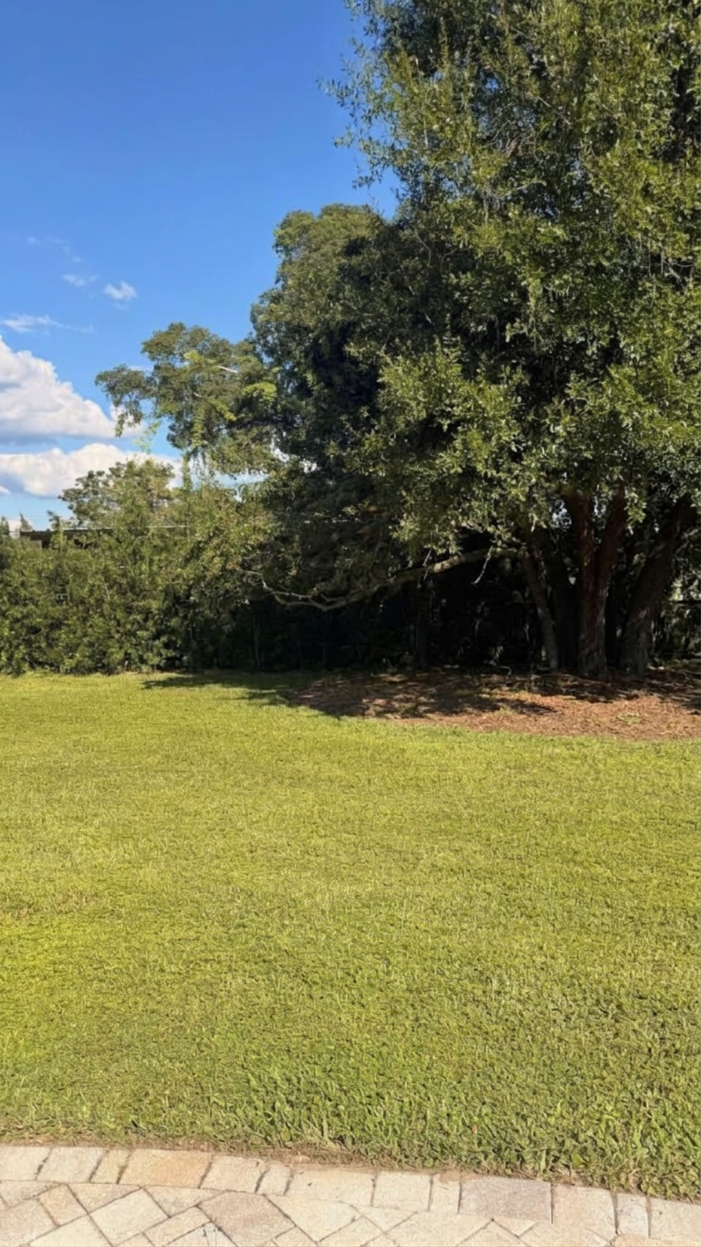 Oak brush edge after