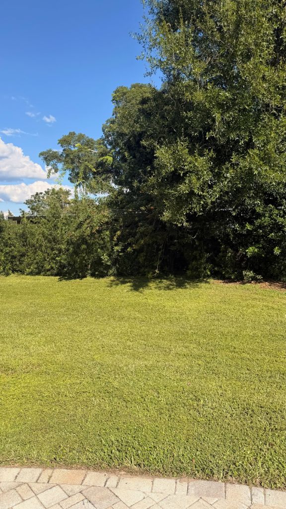 Oak brush edge before